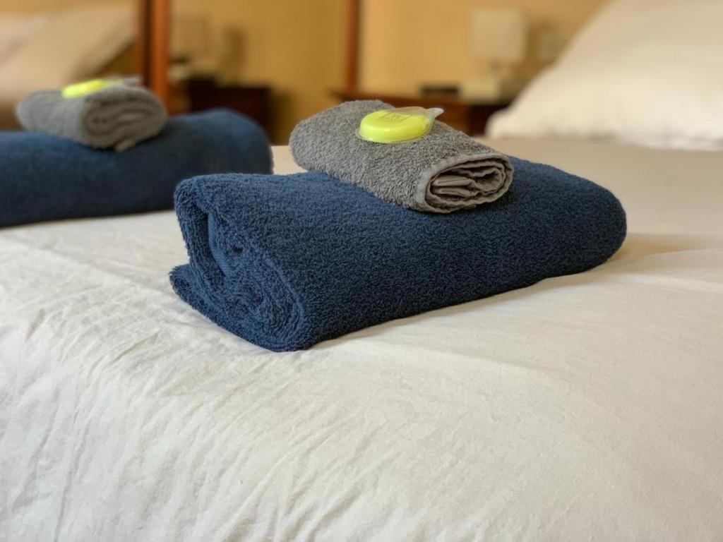 Standard Double Room,948065953:JPEG