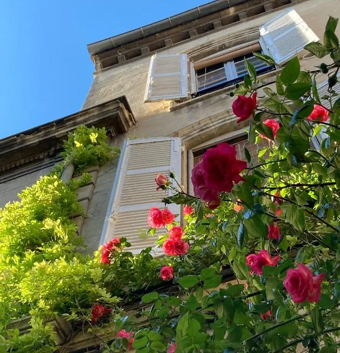 Cocooning Avignon-1