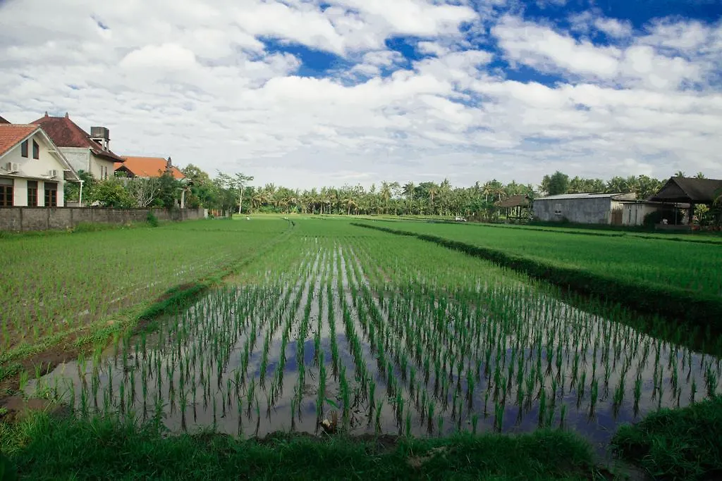 Canang Sari House-1