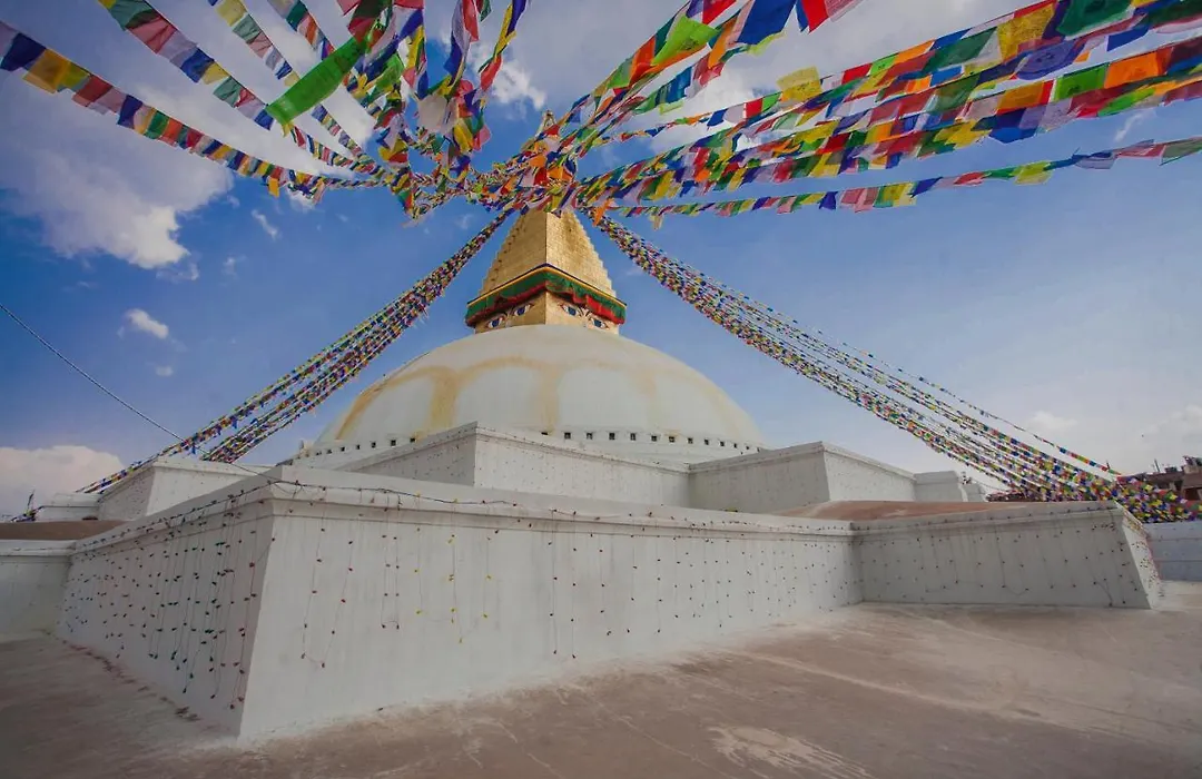 Tibet Peace Guest House-1