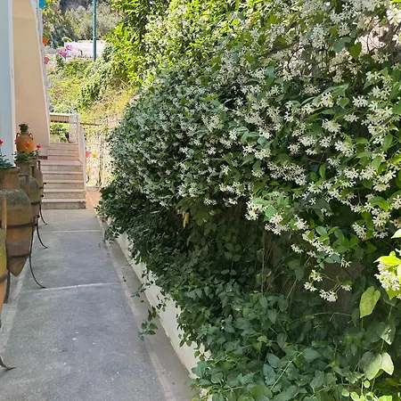 Villa Striano Boutique-3