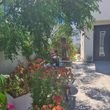 Villa Queen-3