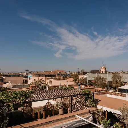 Riad White Flowers-2