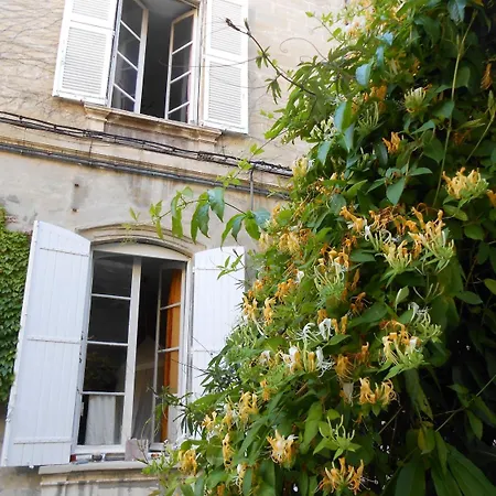 Cocooning Avignon-2