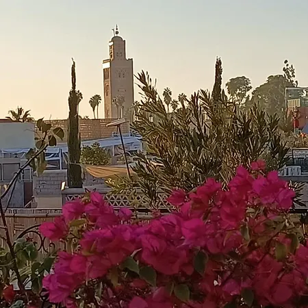 Riad Maud-3