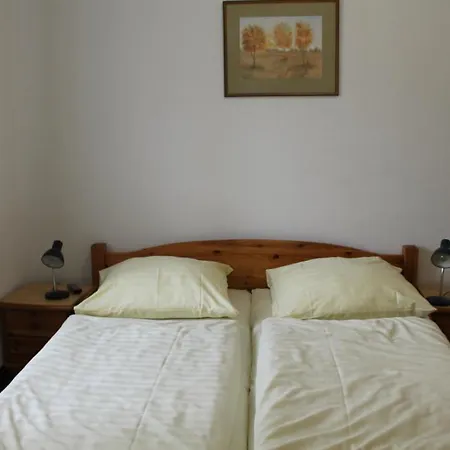 Pension Locarno-2
