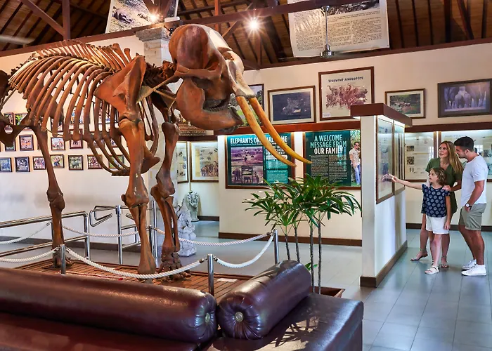 Hôtel avec vue: Mason Elephant Lodge