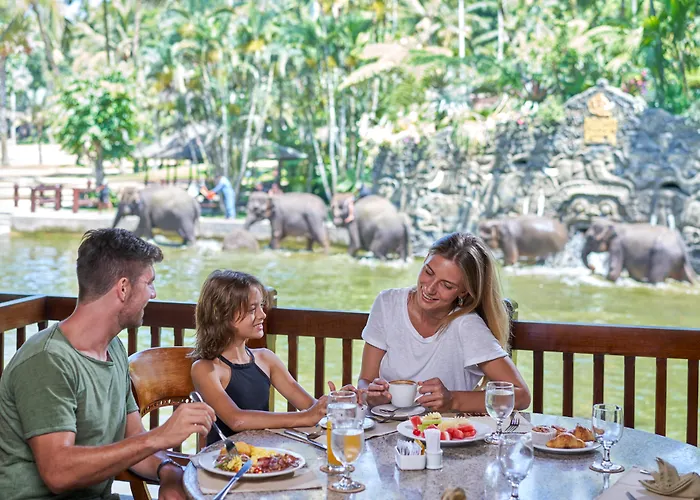 Hôtel avec vue: Mason Elephant Lodge
