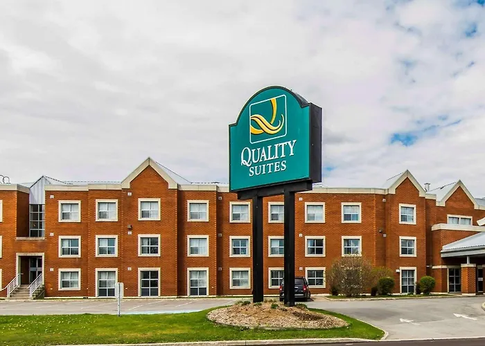 Hôtel accueillant les animaux: Quality Suites