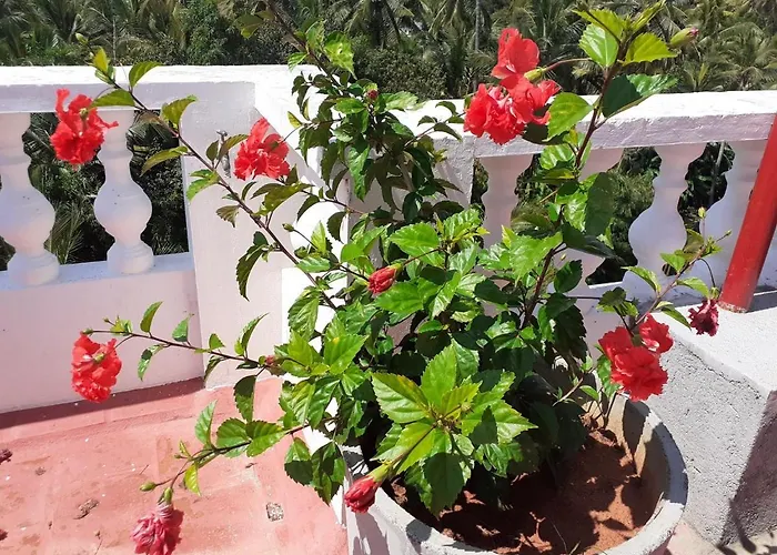 Holi-Wood Guesthouse