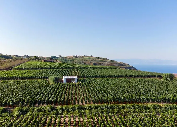 Tenuta Di Castellaro Winery &
