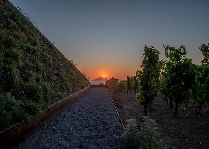 Tenuta Di Castellaro Winery &