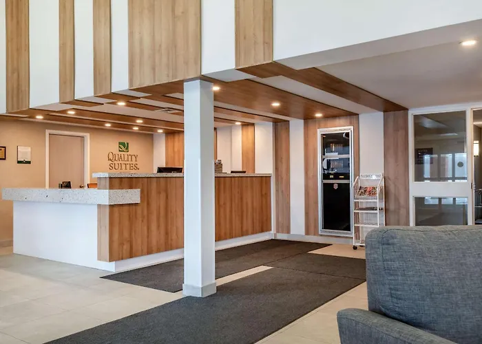 Hôtel accueillant les animaux: Quality Suites