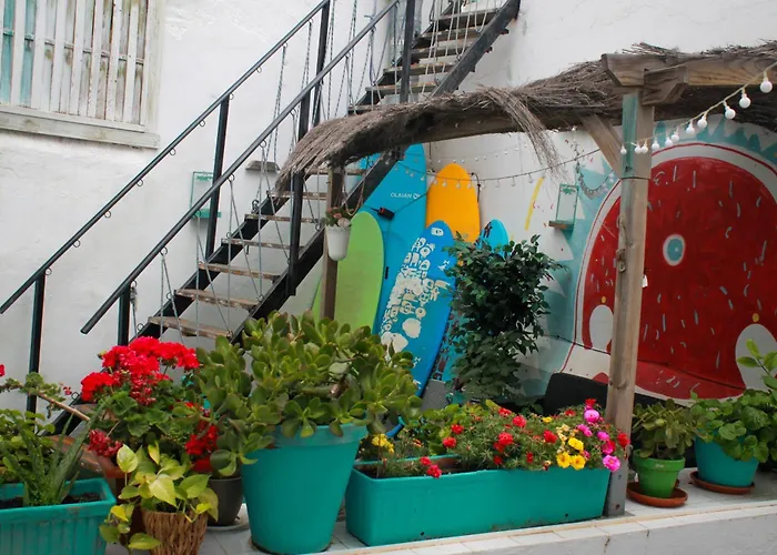 Hôtel de plage: Rosa De Los Vientos