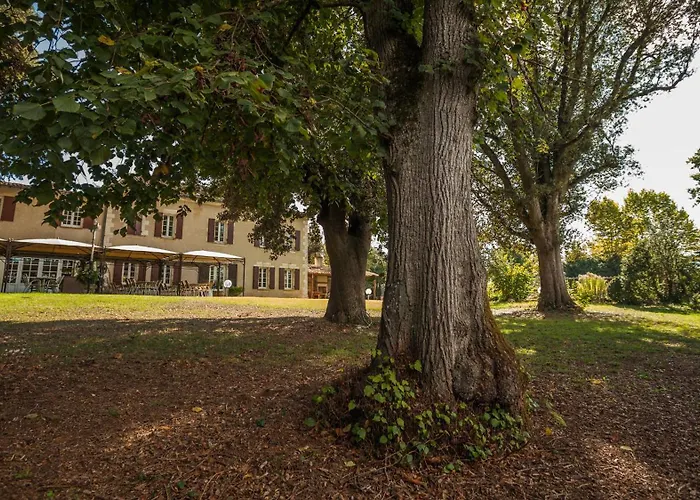 Hôtel accueillant les animaux: Hôtel La Flambée
