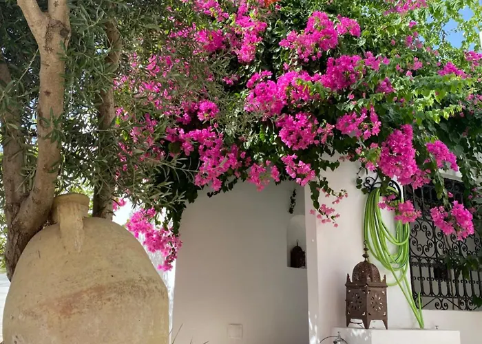 Dar Angi