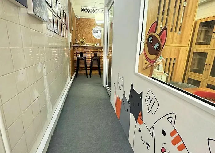 Kasturi Alley Guesthouse & Cat Hotel