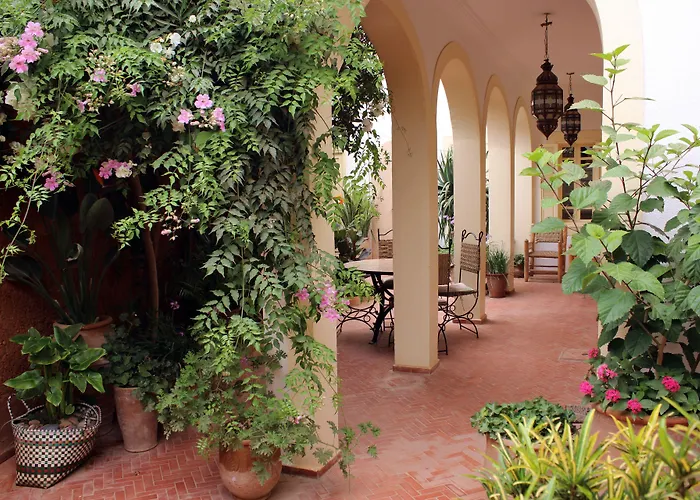 Tilily Home And Garden