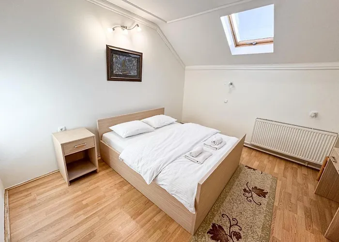Guest house Vila Bor