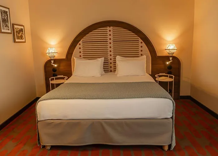 Hôtel accueillant les animaux: Mercure Arles Centre Arenes