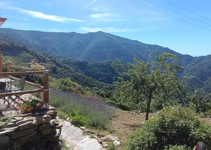 La Quiete Accesa