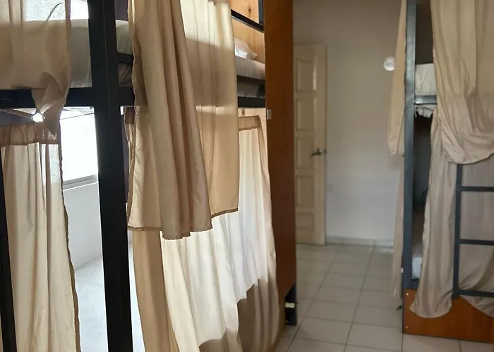 Hostel Treebu