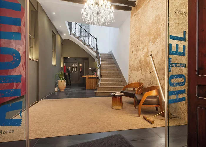Animaux admis Brondo Architect