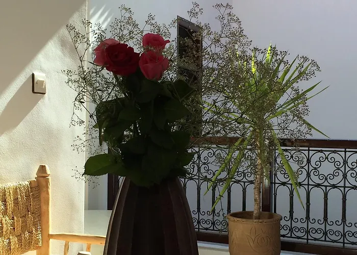 Dar Rosa