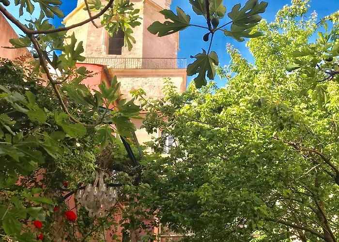 Jardin Vieux Port Panier
